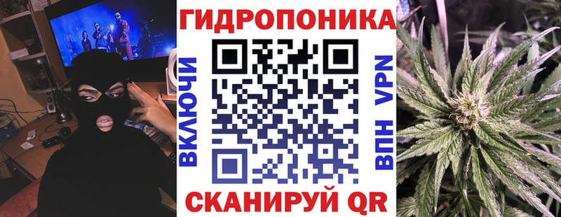 МЕГА ССЫЛКА  Сухой Лог  МАРИХУАНА планчик 